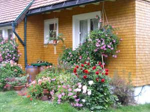 P9060011Haus-Kueche